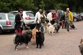 doetlingen 2013 (4)